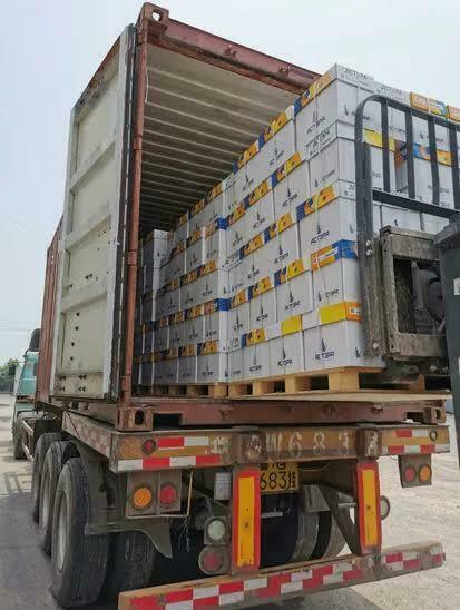 A4 COPY PAPER IN A SHIPPING CONTAINER